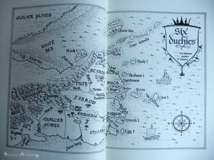 jubil-umsausgabe-assassin-s-apprentice-von-robin-hobb-b-cher-wie-sterne